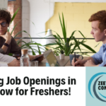 Jobs In Lucknow For Freshers by Zeevika Consultancy